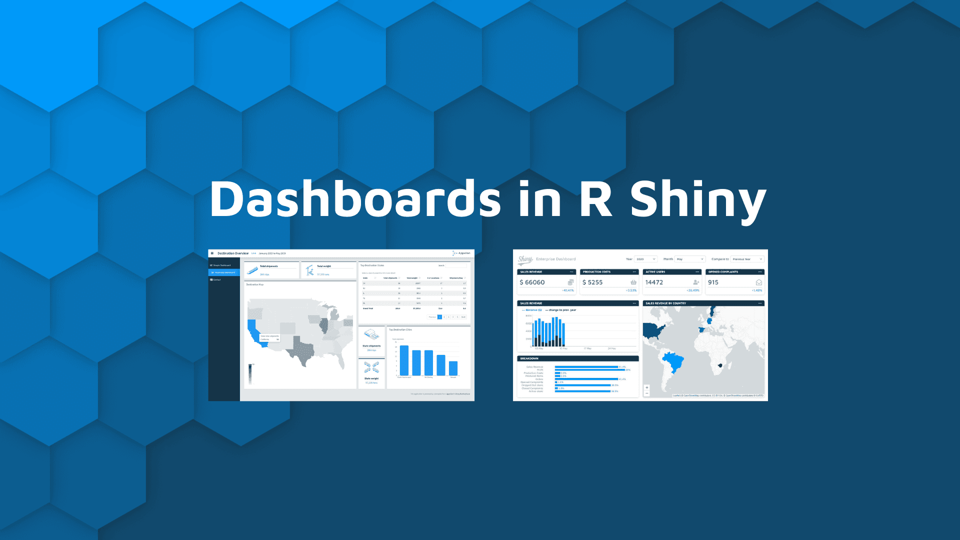 'dashboards in r shiny' hero banner with two dashboard example images