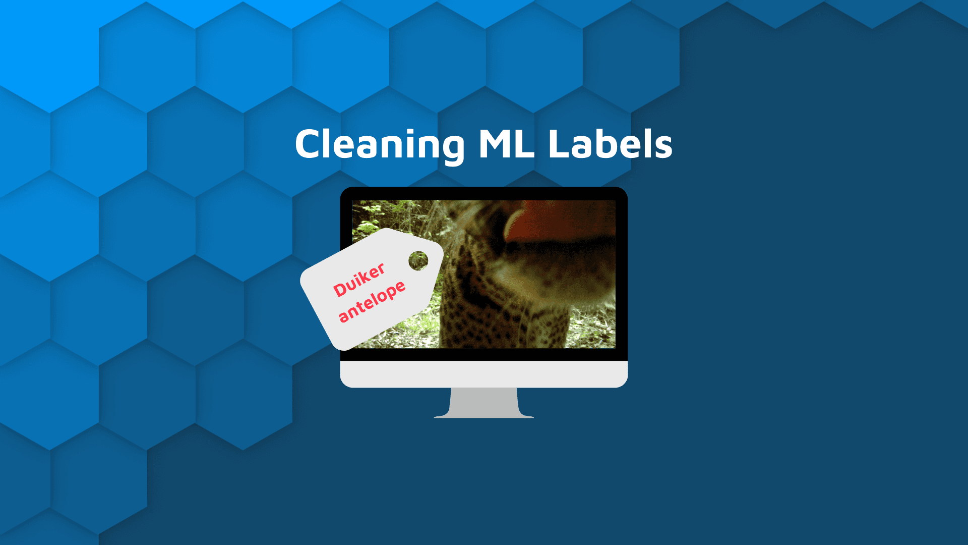 Blog hero hex banner with white text, "cleaning ml labels" and a photo of a leopard incorrectly labeled as a duiker